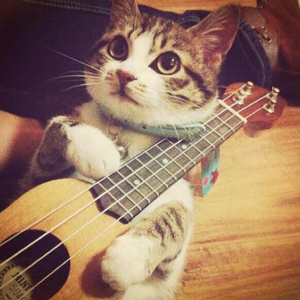 亚洲人精品亚洲人成在线
